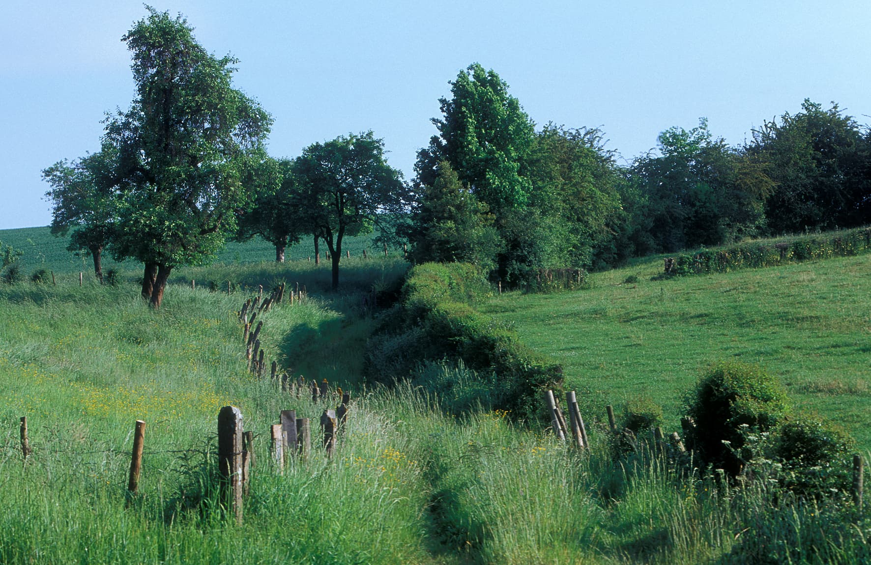 Heyoulle