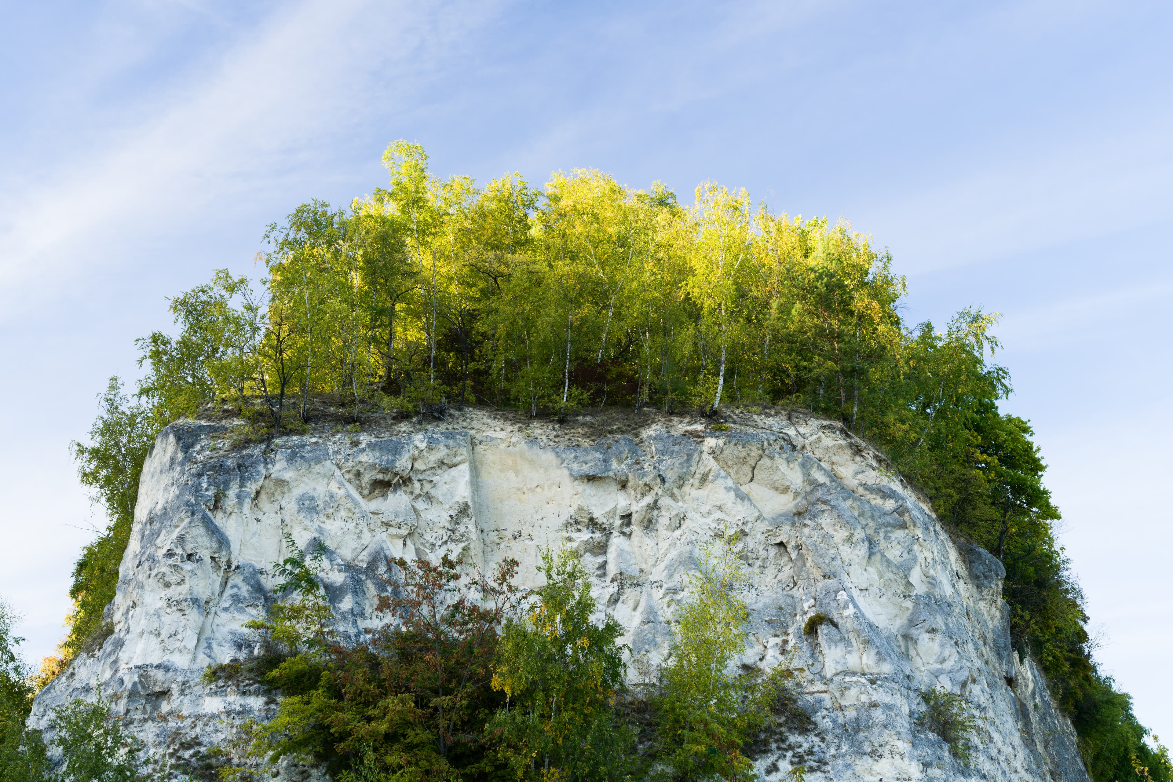 EC_20251002_9966(1).jpg