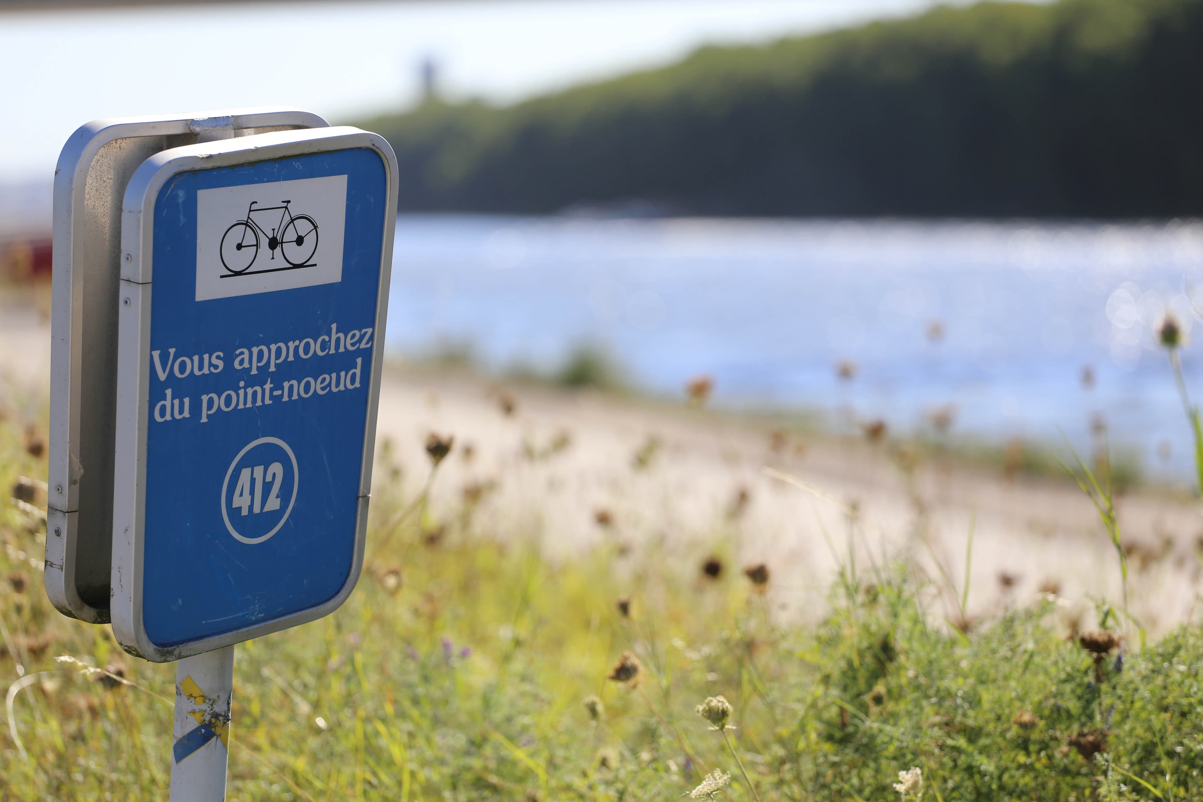 Fietsen